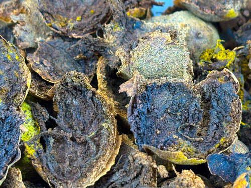 Premium Dried Black Walnut Hulls — Wild-Harvested & Hand-Processed