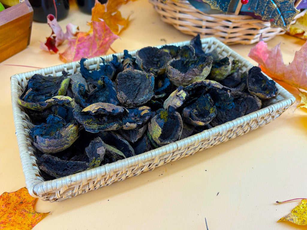 Premium Dried Black Walnut Hulls — Wild-Harvested & Hand-Processed