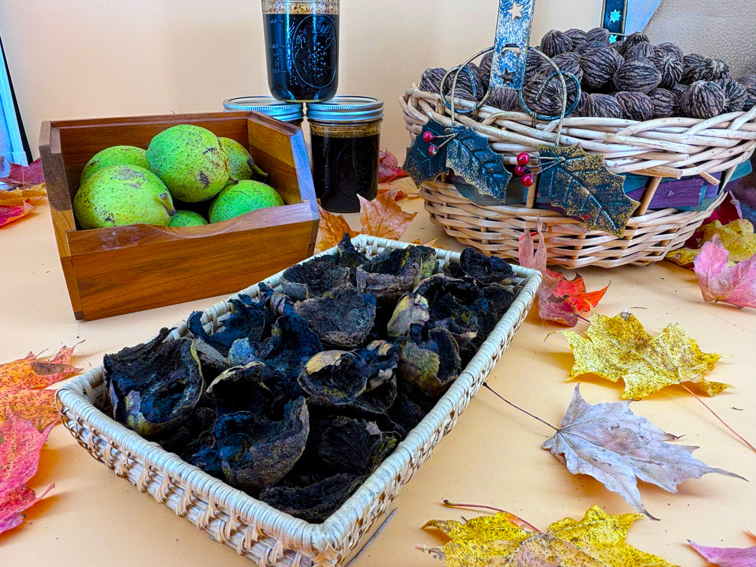 Premium Dried Black Walnut Hulls — Wild-Harvested & Hand-Processed